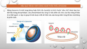 Công nghệ m-RNA trong bộ trị nám, tàn nhang Spotlite