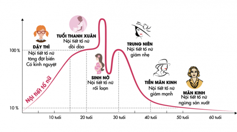 Sự suy giảm nội tiết tố theo từng độ tuổi